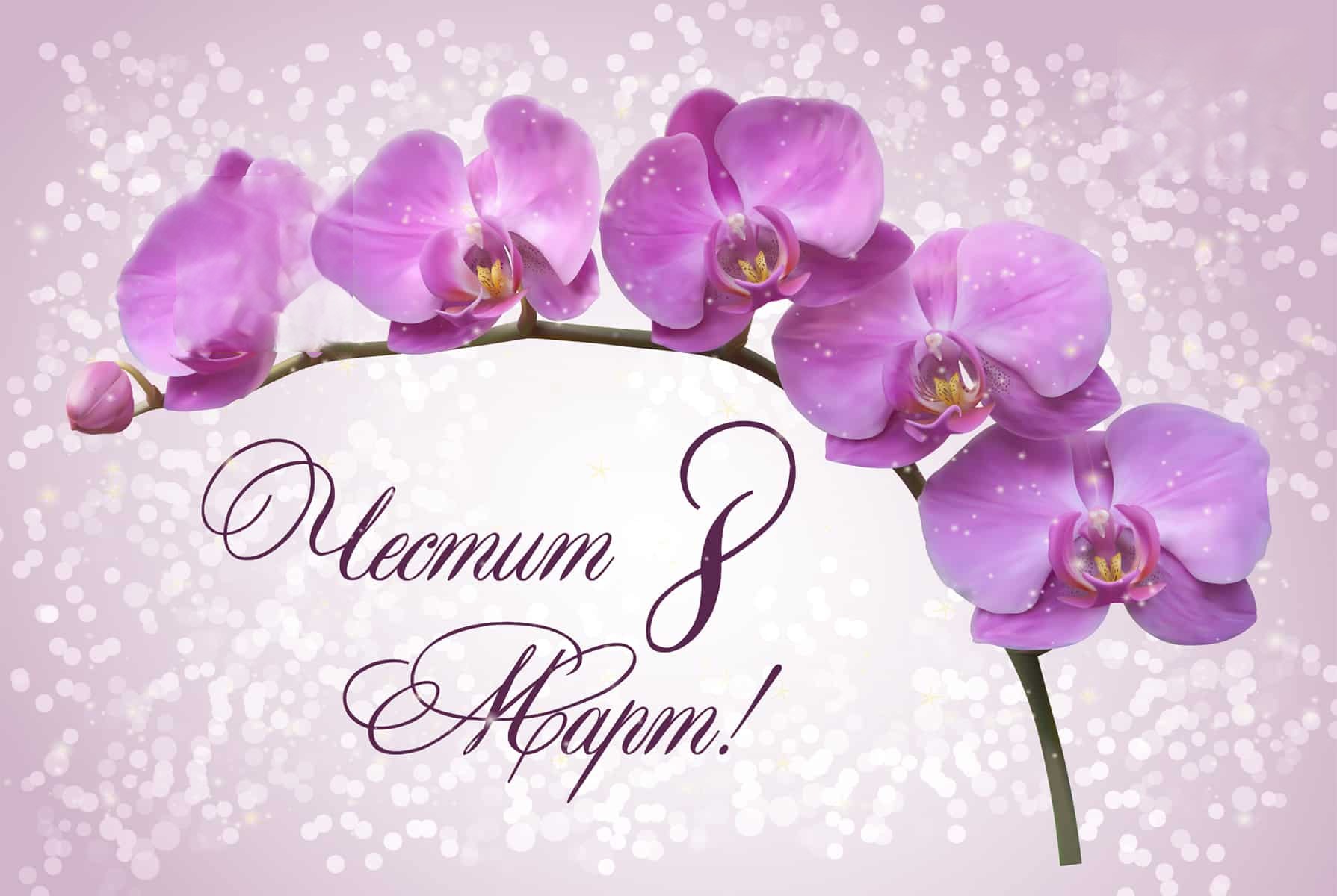 8mart2023.jpg